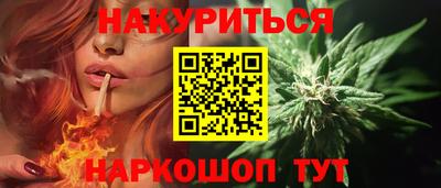 spice Кингисепп