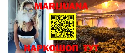 spice Кингисепп