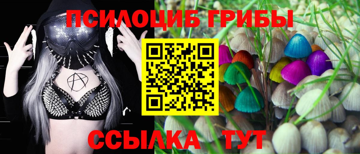 Псилоцибиновые грибы мицелий  Вход с VPN  Кириши 