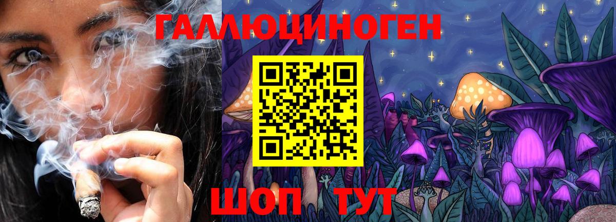 Псилоцибиновые грибы Cubensis Кириши